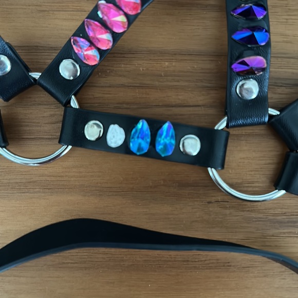 Rave harness - Picture 2 of 4